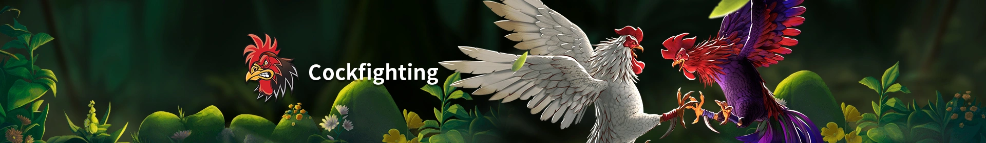 Exciting sabong match experience with MB365 slot, sports, and login options for players